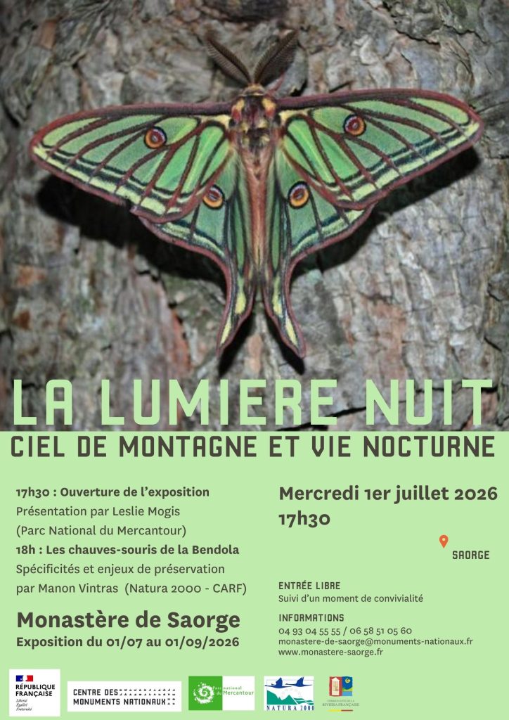Affiche La lumière nuit 01.07.2026