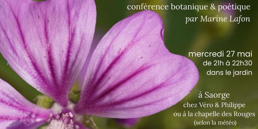 conférence 27 mai 2026